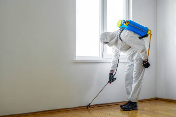 Best Residential Pest Control  in Effingham, IL